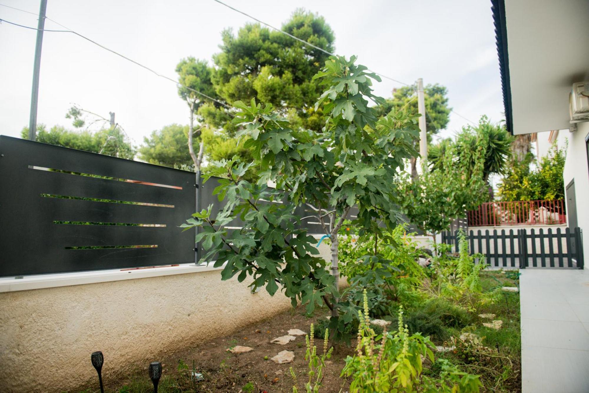 Divina Perla Bed & Breakfast Pulsano Dış mekan fotoğraf